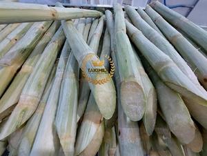 Jus de canne à sucre biologique surgelé IQF, best-seller du Vietnam, prix avantageux - Product Image 6