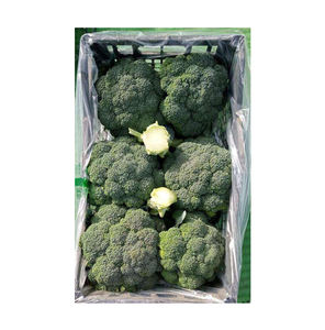 บรอกโคลีธรรมชาติอียิปต์การเพาะปลูกแบบสดใหม่ - Product Image 1