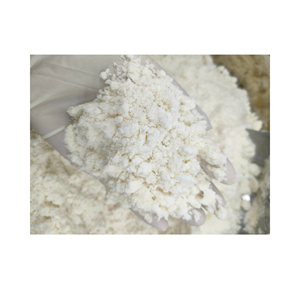 ผงนมมะพร้าวสเปรย์-มะพร้าวแห้งไขมันและของแข็งที่มีการป้องกันการอบและขนม, ผลิตจากเวียดนาม, พรีเมี่ยม - Product Image 1