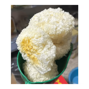 เห็ดหิมะแห้งเกรดพรีเมียม Tremella fuciformis สำหรับทำขนมหวาน ซุป อาหารตุ๋น ตกแต่งอาหาร และจำหน่ายจำนวนมากจากเวียดนาม - Product Image 3