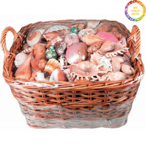 Bol en coquillage vietnamien fait à la main, construit avec un thème de sac en coquillage, utilisant des coquillages polis pour une présentation intérieure élégante - Product Image 4