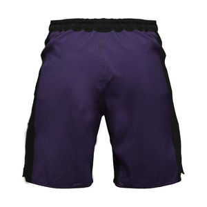 Ropa de Boxeo Sublimada Personalizada para Adultos, Shorts de MMA para Hombre, Ropa de Artes Marciales, Shorts de Entrenamiento de Fitness para MMA, OEM 2026 - Product Image 4
