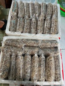 GROS ÉTÉ 2025 Méduses séchées de qualité supérieure | Exportation directe de fruits de mer du Vietnam AVEC DES PRIX TRÈS BON MARCHÉ - Product Image 6