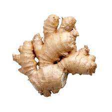 Precio competitivo de jengibre fresco orgánico de grado 100% DE EXPORTACIÓN DE Vietnam - Product Image 5