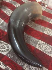 Corne à boire Viking 100% naturelle en corne de buffle polie pour bière ou eau, meilleure qualité, vente en gros en Inde - Product Image 5