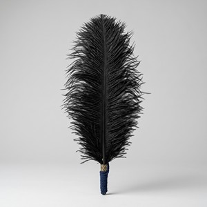 IMADE SPORTS Hackle de plumes de régiment de 10-12 pouces pour bonnet écossais - Matériau en plumes d'autruche - Product Image 1