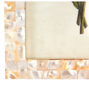 Marco de nácar natural con diseño de incrustaciones florales y de chipset Pieza elegante hecha a mano para exhibiciones decorativas - Product Image 6