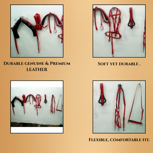 ชุดสายรัดม้าทำจากพีวีซีสีแดง - Product Image 4