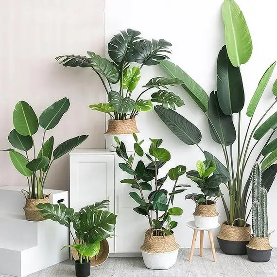 アートデコレーション人工植物ホーム人工鉢植え木盆栽ゴムの葉プラスチックの木の葉装飾的な屋内熱帯