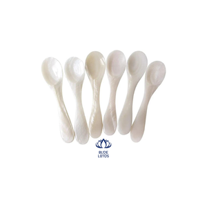เวียดนามหอยสังข์ช้อนราคาที่แข่งขัน - Product Image 4