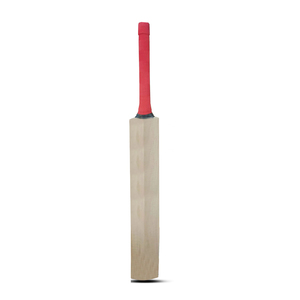 Bates de cricket de sauce inglés con logotipo personalizado de alta calidad, el mejor rendimiento para deportes - Product Image 4