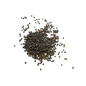 Graines de colza en gros disponibles pour l'industrie alimentaire et les entreprises d'exportation - Product Image 6