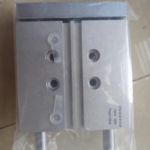   กระบอกสูบลมแบบมีรางนำทาง DFM-20-100-P-A-GF ขนาดเส้นผ่านศูนย์กลาง 20 มม. ระยะชัก 100 มม. แบบสองทาง - Product Image 1