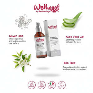 <b>Silver</b> Ion Paw Purifying <b>Spray</b> for Dogs 75 mL OEM PL Italy RedMoringa Pet Grooming Product - Product Image 3