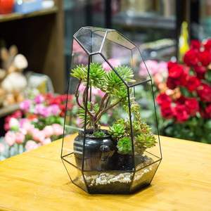 Terrarium en métal ouvert pour un accès facile aux plantes et un arrosage facile adapté à la décoration intérieure. - Product Image 1