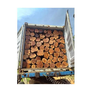 Bois de chauffage durable en teck africain offert en qualité d'exportation pour l'approvisionnement énergétique mondial - Product Image 2