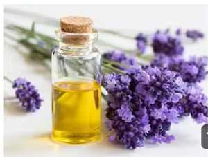 Vente en gros d'huile essentielle de lavande pure et naturelle idéale pour la fabrication de parfums d'aromathérapie et les thérapies de relaxation - Product Image 2