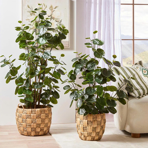 PAPEL PAJA RAFIA PLANTA CESTA ÚNICA MÁS BARATO - Product Image 2