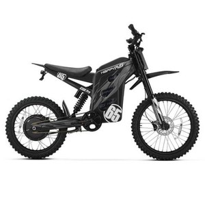 Moto tout-terrain électrique Gt2000 pour adultes, conduite fluide, idéale pour les trajets en ville, les routes extérieures et l'utilisation quotidienne, best-seller - Product Image 3