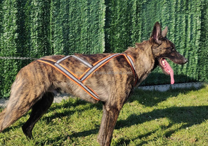 Chaleco de Entrenamiento para Mascotas, Arnés Suave Acolchado con Espalda en X, Tirador de Pesas para Perros, Cintas de Goma y Poliéster, Nailon Sólido - Product Image 4