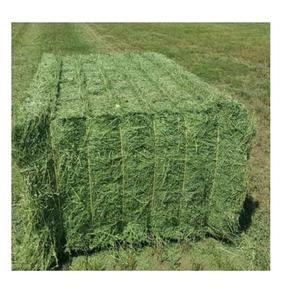 Venta de heno de alfalfa de alta calidad - Product Image 6