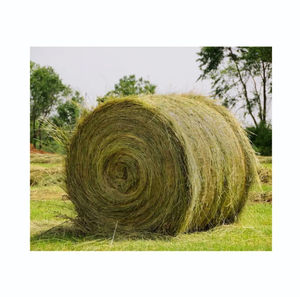 Heno de Alfalfa para Alimentación de Ovejas, Alto en Proteínas para el Mantenimiento de Rebaños y Crecimiento de Corderos, Cumplimiento de Pedidos al por Mayor - Product Image 6