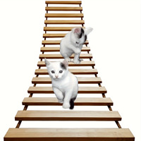 Pont suspendu en corde pour chat, style mignon, en bois de pin personnalisé, accessoire d'escalade, étagères murales souples DIY, maisons pour chat d'intérieur