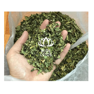 ใบมะละกอให้รสขมที่สามารถเพิ่มซอสเครื่องดื่มพิเศษและการสร้างสรรค์การปรุงอาหารทั่วโลก - Product Image 1