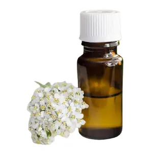 Bulk Distributor Widely 잘 팔리는 100% Natural & Pure Quality 안심 Yarrow 에센셜 Oil Directly from 꽃