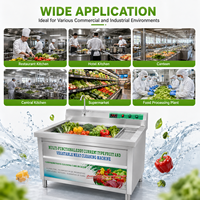 Eddy Current Fruit- en groentewasmachine, roestvrijstalen spoelbakwasser voor restaurantkeuken, rechtstreeks van de fabriek
