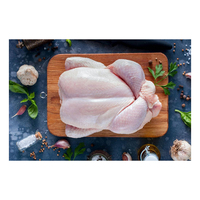 Poulet entier et en morceaux halal surgelé de haute qualité, vente en gros, prix abordable, qualité supérieure, normes internationales, riches en vitamines