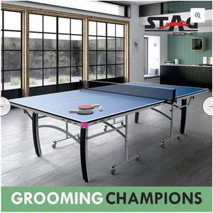 Table de tennis de table Stag Iconic Active 16, taille professionnelle, du fabricant indien, au meilleur prix - Product Image 3