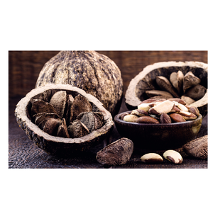 Noix du Brésil abordables à vendre riches en nutriments et en saveur disponibles en vrac pour de grandes économies, idéales pour les collations - Product Image 4
