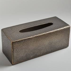 Boîte à mouchoirs en métal classique conçue pour les intérieurs traditionnels, offrant une beauté intemporelle et une grande durabilité - Product Image 5