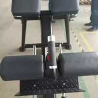 Machine d'entraînement fonctionnelle d'exercice de nouveau design vente en gros équipement de fitness de gymnastique commerciale banc romain réglable