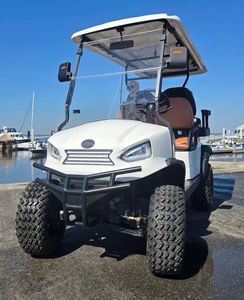 รถกอล์ฟไฟฟ้าขับเคลื่อน4ล้อ48V ใหม่ล่าสุดรถกอล์ฟคลับ - Product Image 1