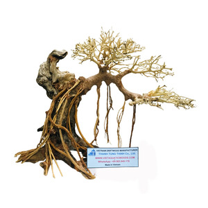 Arbre bonsaï d'aquarium 2025 hautement apprécié pour le décor de réservoir de tortue d'aquarium de réservoir de poissons du Vietnam - Product Image 2