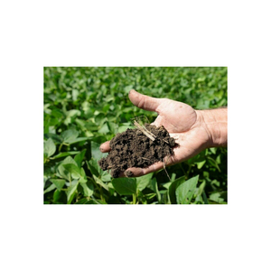 ชุดแต่งแผลแบบอัลจิเนตซิลเวอร์ต้านจุลชีพผลิตภัณฑ์ปุ๋ยไนโตรเจน - Product Image 5