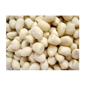 Arachides blanchies naturelles en vrac, cacahuètes pelées, séchées, non décortiquées, exportation, vente en gros, fournisseur d'usine pour les transformateurs alimentaires, les détaillants - Product Image 4