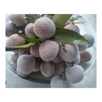 Fabriek In Vietnam Internationale Standaard Compliance Beste Prijs Gegarandeerd Bevroren Lychee 5Kg
