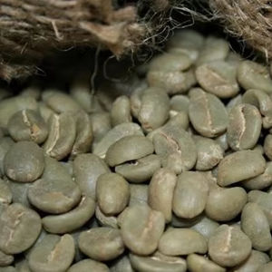 Grains de café vert Robusta biologique de qualité supérieure S18, brisures noires uniquement, 0,1 %, certifié USDA, norme d'exportation, marque TNFOOD, qualité AA+ 98 % - Product Image 1