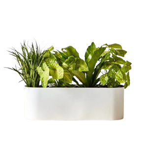 Jarrón cilíndrico antiguo dorado para decoración del hogar, jardín, suelo, decoración, maceta de flores en Color dorado, impresión personalizada - Product Image 5