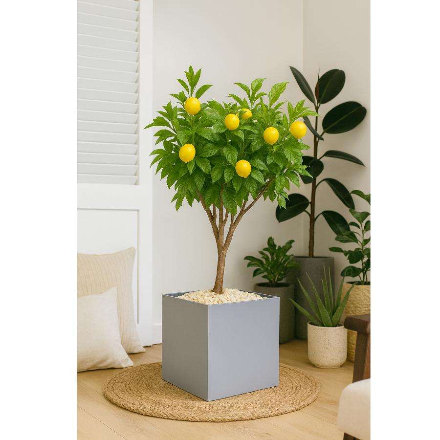 กำหนดเอง