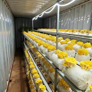 Contenedor Vertical de Alta Producción para el Cultivo de Hongos, para la Producción a Gran Escala de Hongos Melena de León y Ostra, con Rápido Retorno de la Inversión - Product Image 3