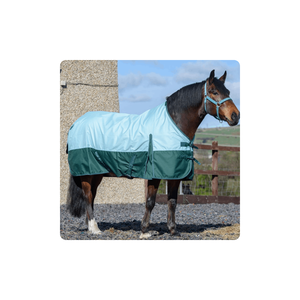 Tapis de cheval de taille moyenne, 100g/m2, imperméable, couleur verte, offre au meilleur prix - Product Image 1