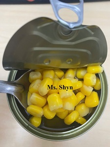 Maíz dulce entero enlatado-Maíz dulce enlatado en salmuera-Fácil de abrir y recién enlatado-MS. SHYN - Product Image 6