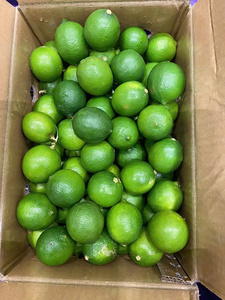Limas sin semillas de alta calidad de cítricos frescos de Vietnam con embalaje personalizado para mercados de frutas - Product Image 2