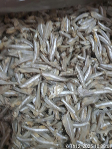 Anchois séchés naturels de qualité supérieure 100% du Vietnam, durée de conservation de plus de 12 mois, prêts à l'emploi, export en gros, OEM - Product Image 3