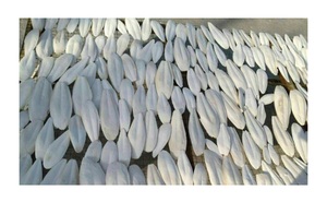 กระดูกปลาหมึกแห้งคุณภาพสูงกระดูกปลาหมึกธรรมชาติ 100% สําหรับนกจากเวียดนาม - Product Image 6