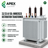 Transformateur de distribution immergé dans l'huile APEX S13-M 630-1600 kVA 33/35 kV/690 V pour postes de transformation industriels IEC 60076